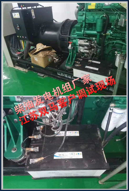 柴油發(fā)電機組廠家江蘇雙馬