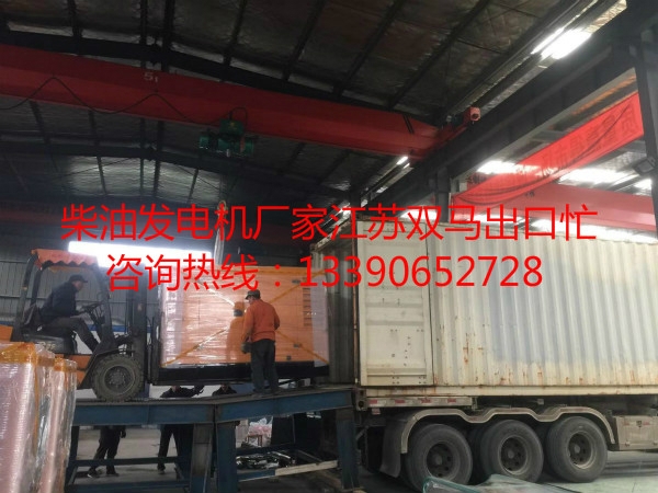 柴油發(fā)電機(jī)廠家江蘇雙馬出口裝柜