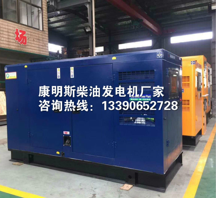 康明斯柴油發(fā)電機廠家江蘇雙馬
