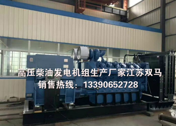 高壓柴油發(fā)電機(jī)組廠家實拍