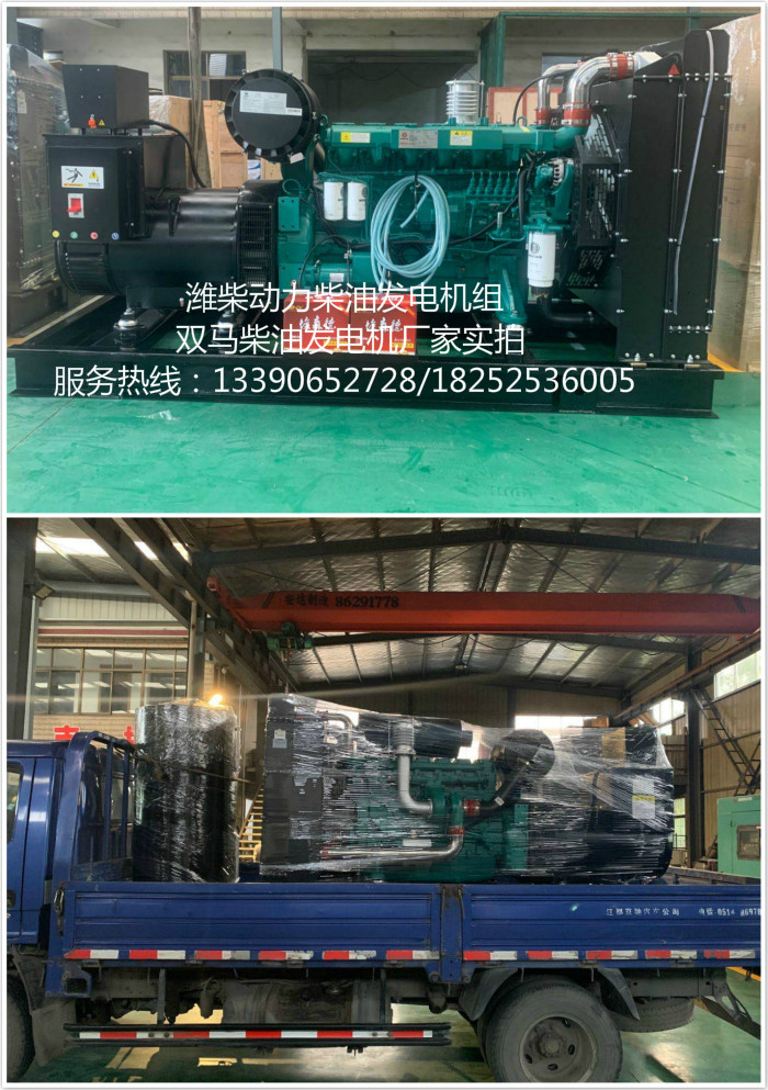 濰柴動力柴油發(fā)電機(jī)廠家